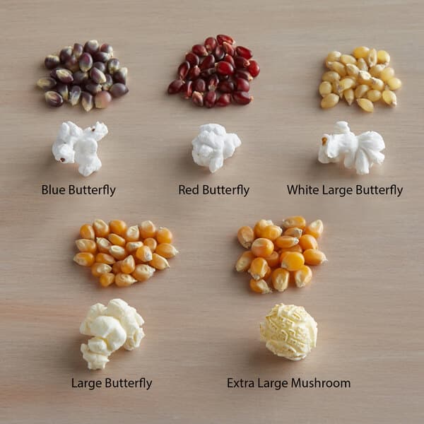 Mushroom Popcorn Kernels - Extra-Large, 50 lb. Bag - Carnival King