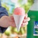 A hand holding a Carnival King white paper cone with a pink snow cone.